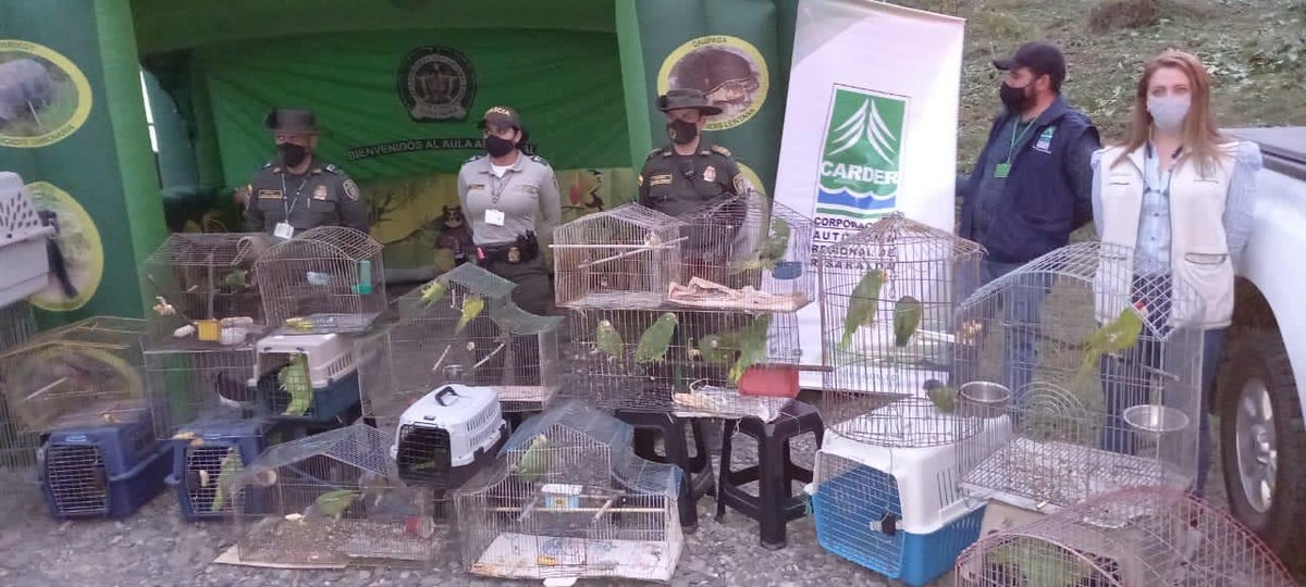 Rescate animales Carder y Policía Ambiental