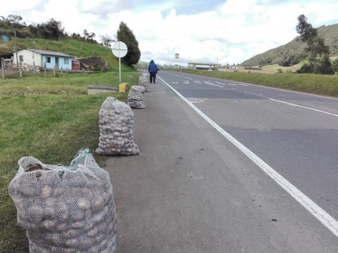 Venta, papa, Boyacá, crisis
