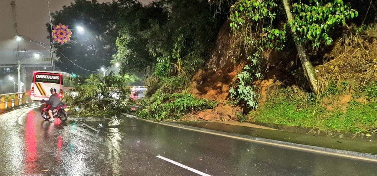 Caída de ramas en Las Palmas en Medellín.
