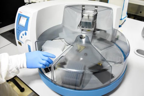 Imagen de referencia.