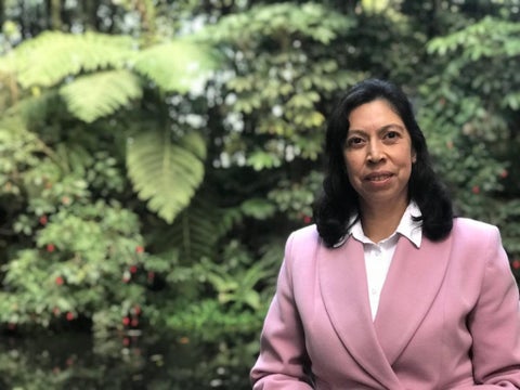 Yolanda Gonzalez, directora del Ideam