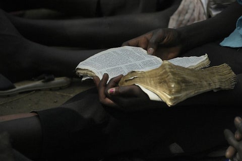 Sagrada Biblia