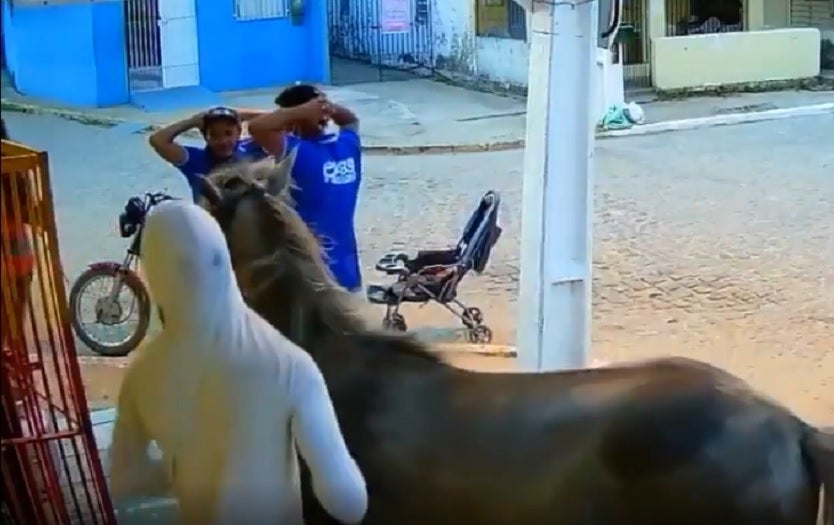Asalto en caballo