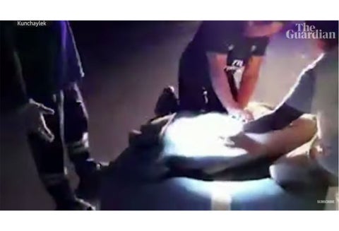 El elefante así fue salvado por el rescatista.