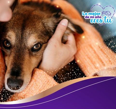 Enfrentar nuevos retos nunca había sido tan divertido con tu mascota.