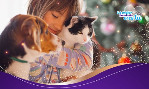 Las mascotas se convirtieron en nuestros mejores amigos durante la pandemia.