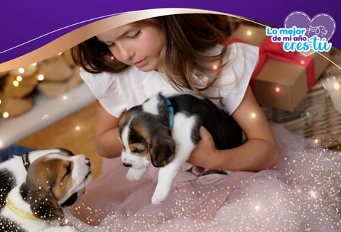 La decisión de tener una mascota en la familia, se debe tomar con responsabilidad.