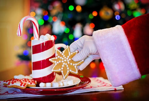 Celebración de Navidad