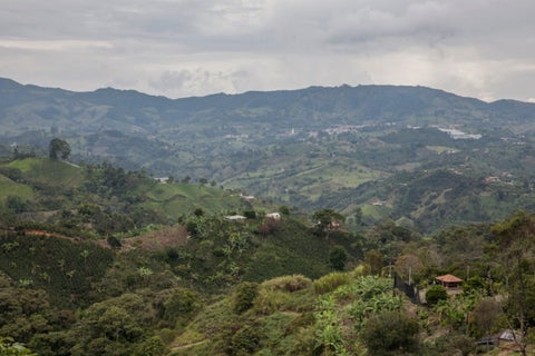 Zona de influencia del proyecto Quebradona en Jericó, Antioquia.