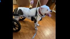 Silla de ruedas