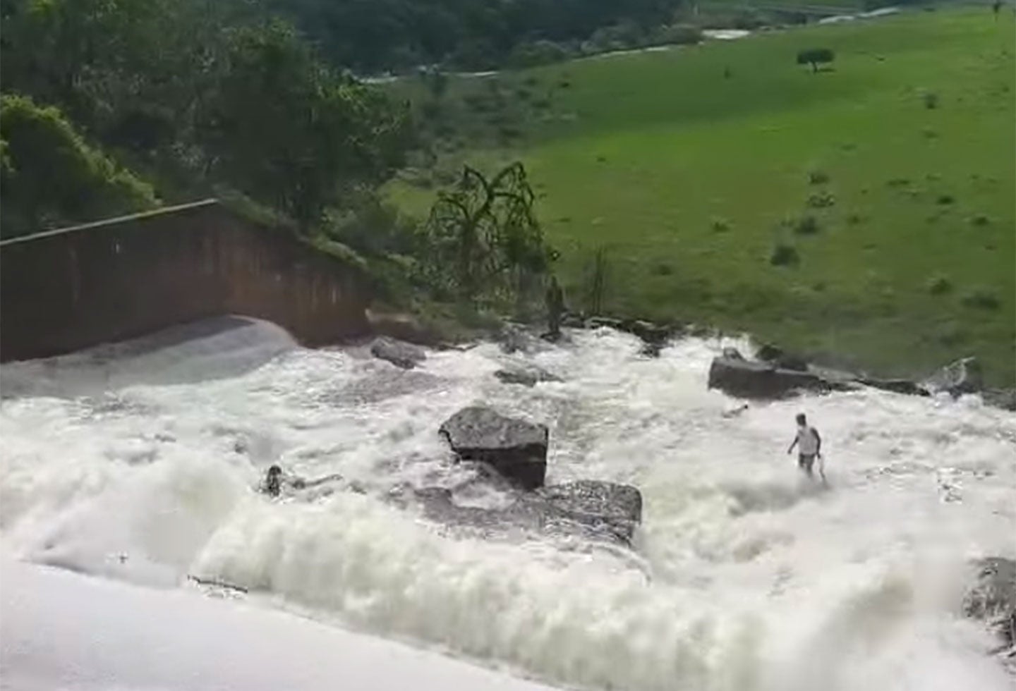 Un jardinero arriesgó su vida para salvar un perro