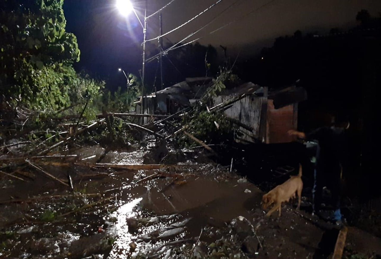 Barrio Baltazar Ibagué
