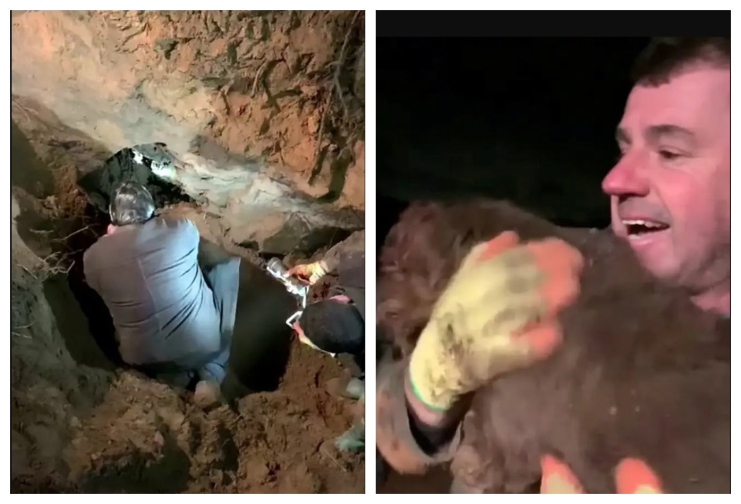Rescate de perro con sordera Dizzy de la BBC