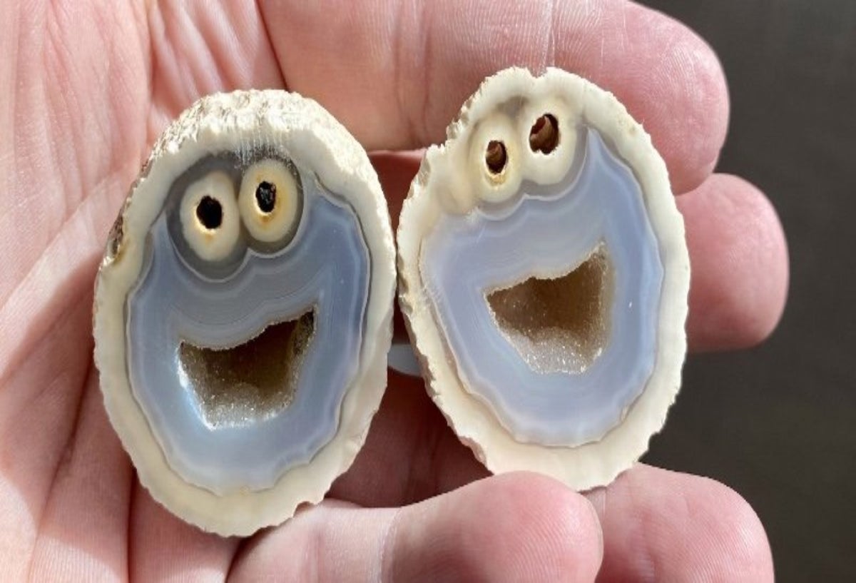 Encuentran roca volcánica que se parece al 'Monstruo come galletas'