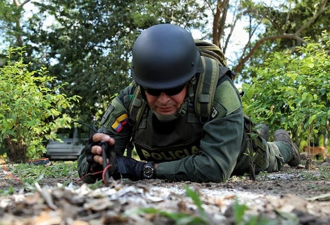 Erradicación de cultivos ilícitos