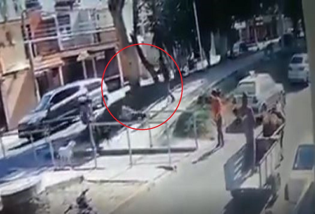 Hombre que golpeó a un perro terminó golpeado en el rostro en Perú