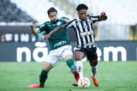 Palmeiras se coronó campeón de la Copa Libertadores