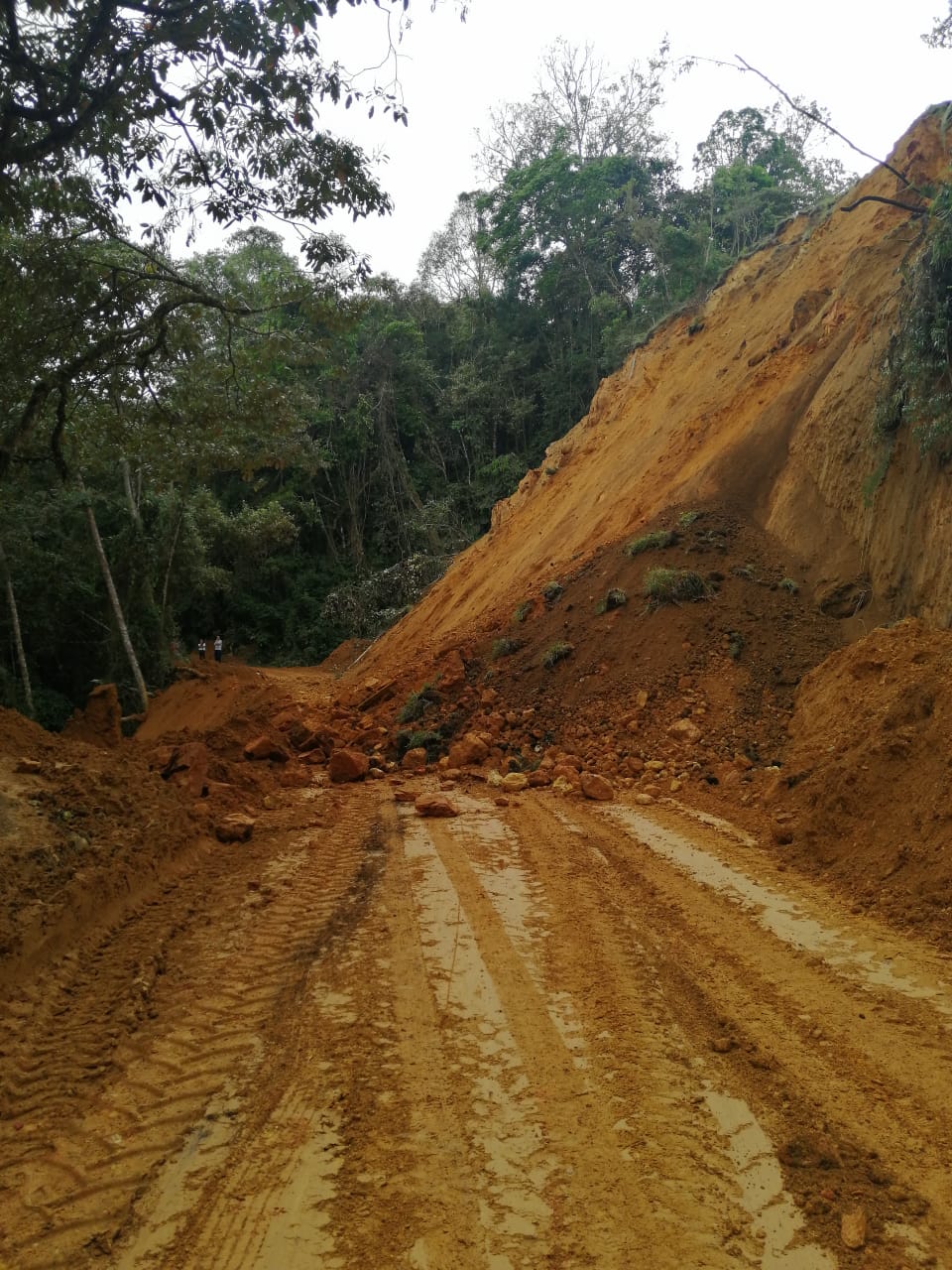 Derrumbe Caldas