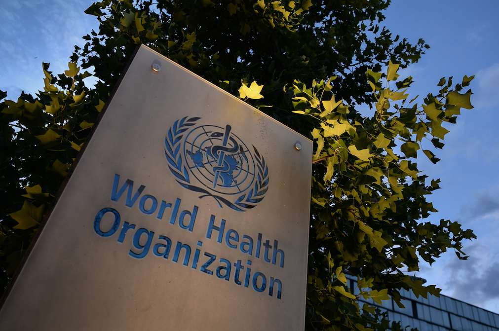 Organización Mundial de la Salud (OMS)