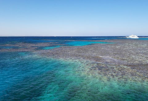 Arrecifes de corales