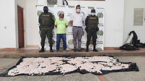 Incautan huevo de iguana