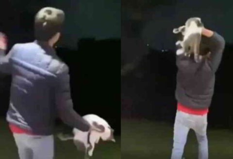 Indignación en redes por joven que maltrata a un gato en Antioquia
