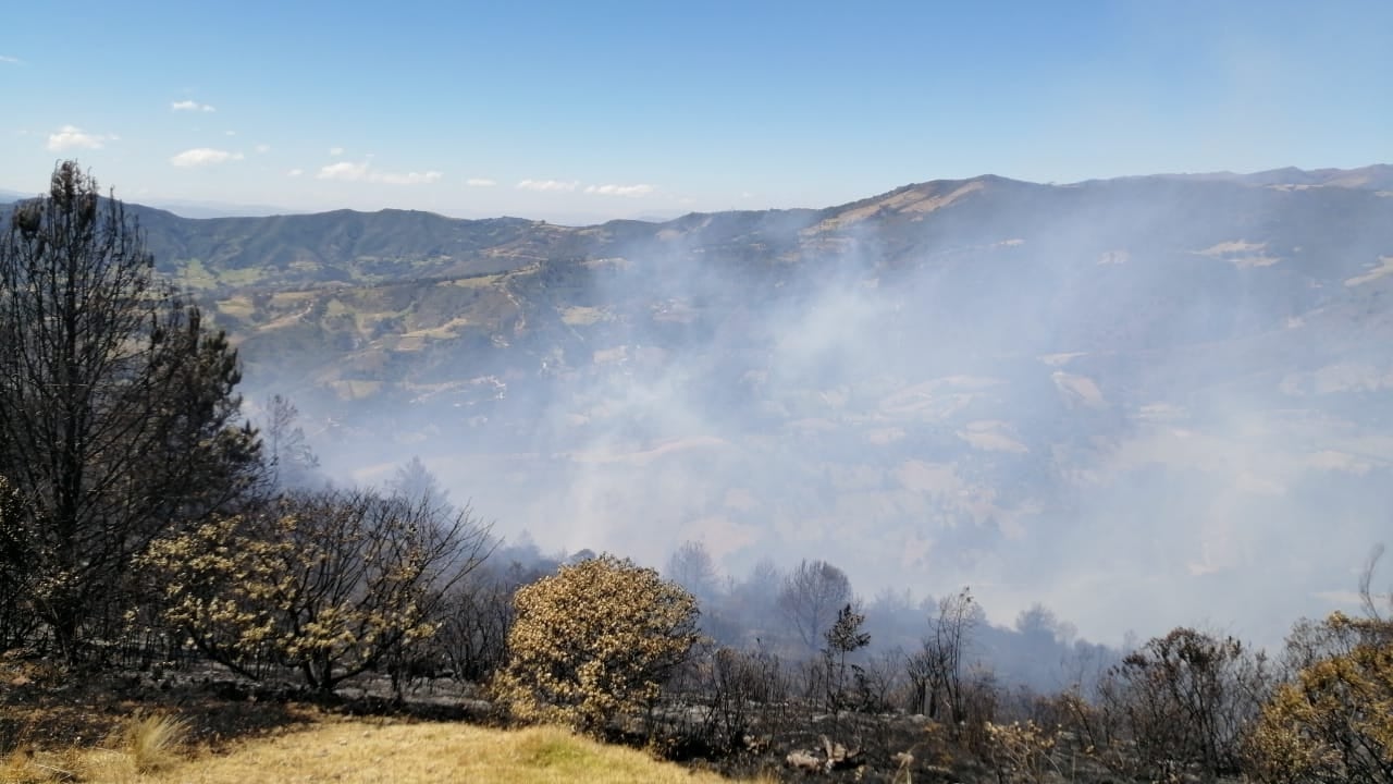 Incendio, Betéitiva, Foresta