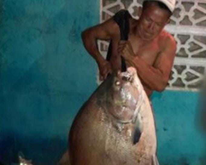 Aun no sabe si la pondrá a la venta