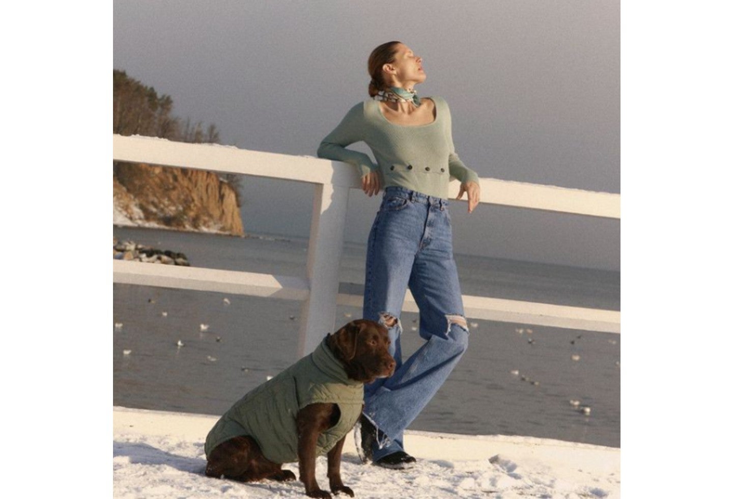 'Pet collection' Zara