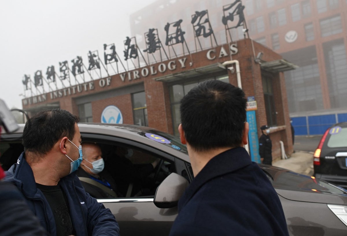 Experto de OMS en China analizan origen del coronavirus