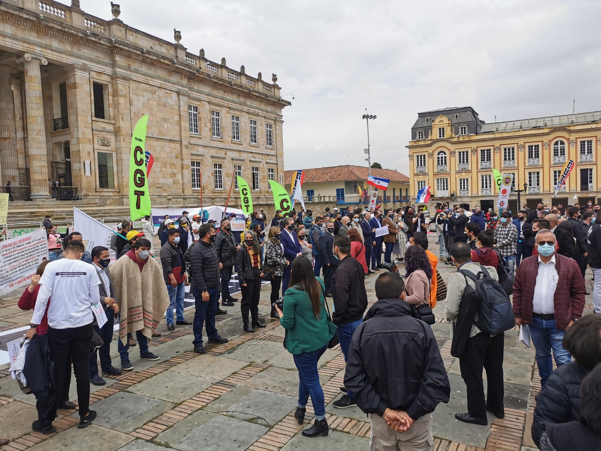 Plantón Renta Básica
