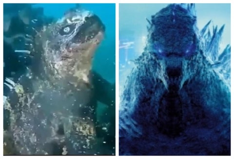 Godzilla