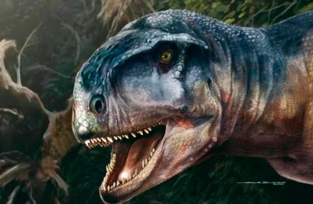 Dinosaurio Llukalkan aliocranianus