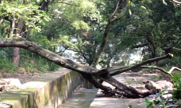 Inundadas 35 viviendas en Bucaramanga por las fuertes lluvias
