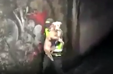 Policía de Bogotá salva a perro de ahogarse