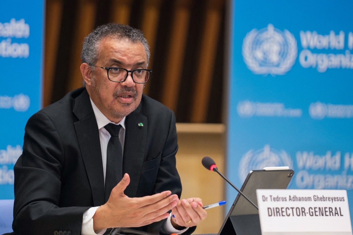 Tedros Adhanom, director de la OMS