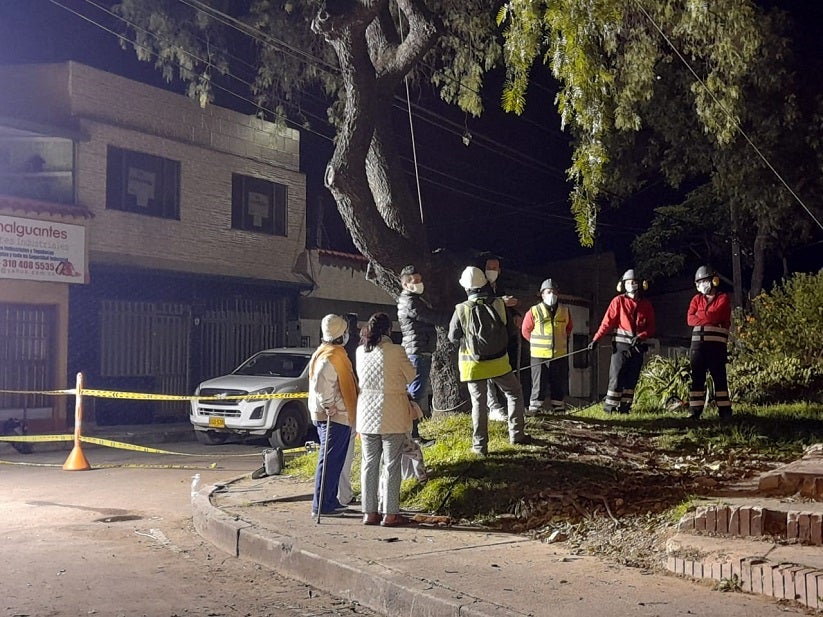 Tala de árboles Carrera 68