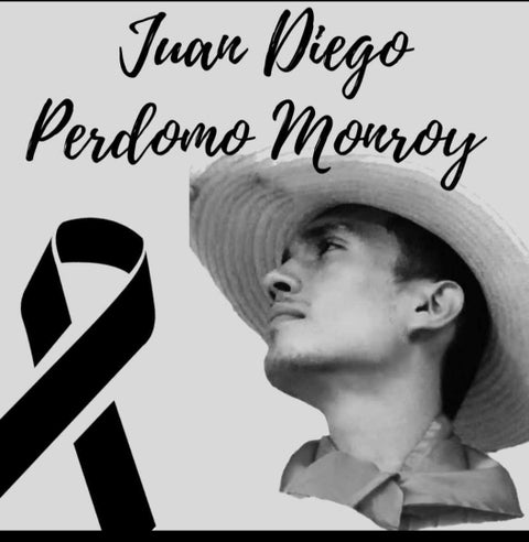 Juan Diego Perdomo Monroy