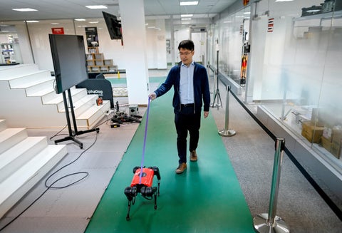 Perros-robot, el último grito tecnológico en China