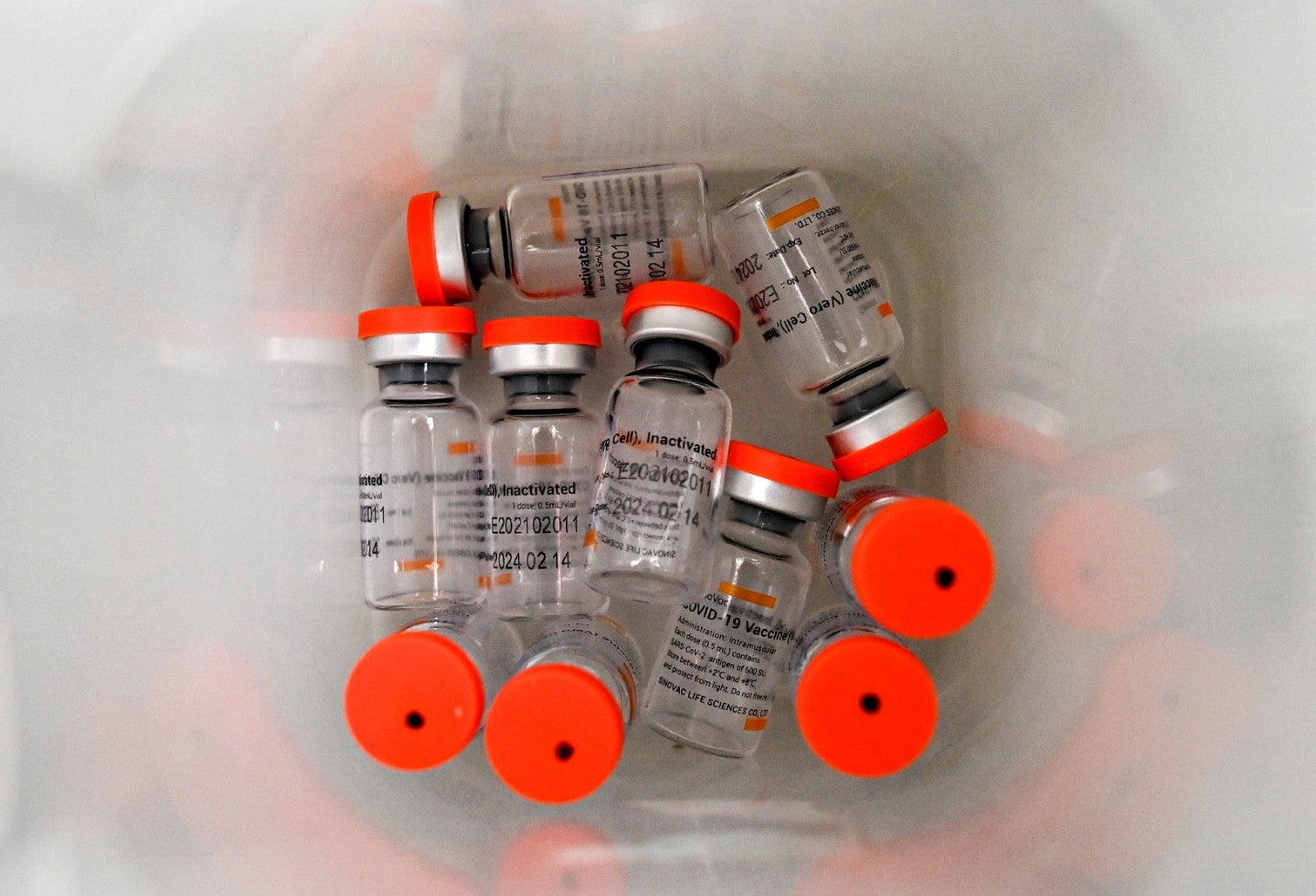 Vacunas de Sinovac se aplican en Colombia