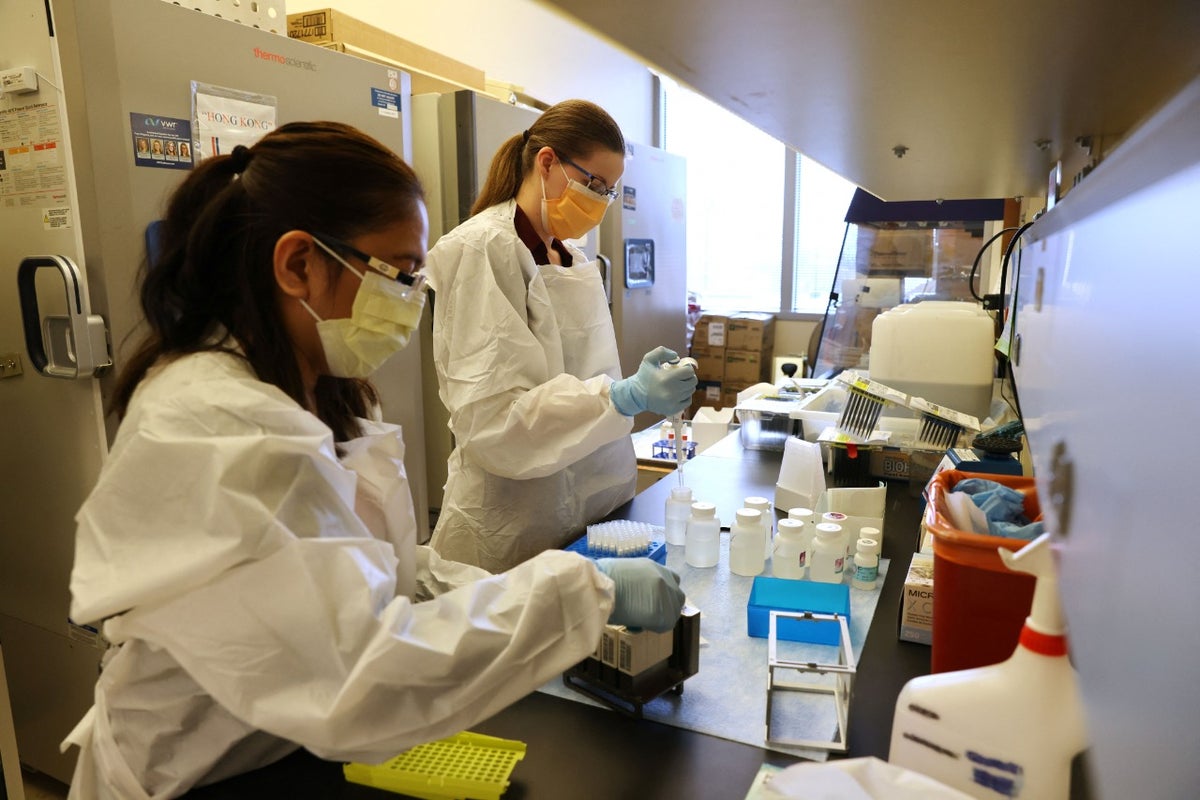 Vacunas laboratorio
