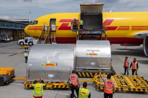 Llegada de nuevas vacunas de Pfizer al país