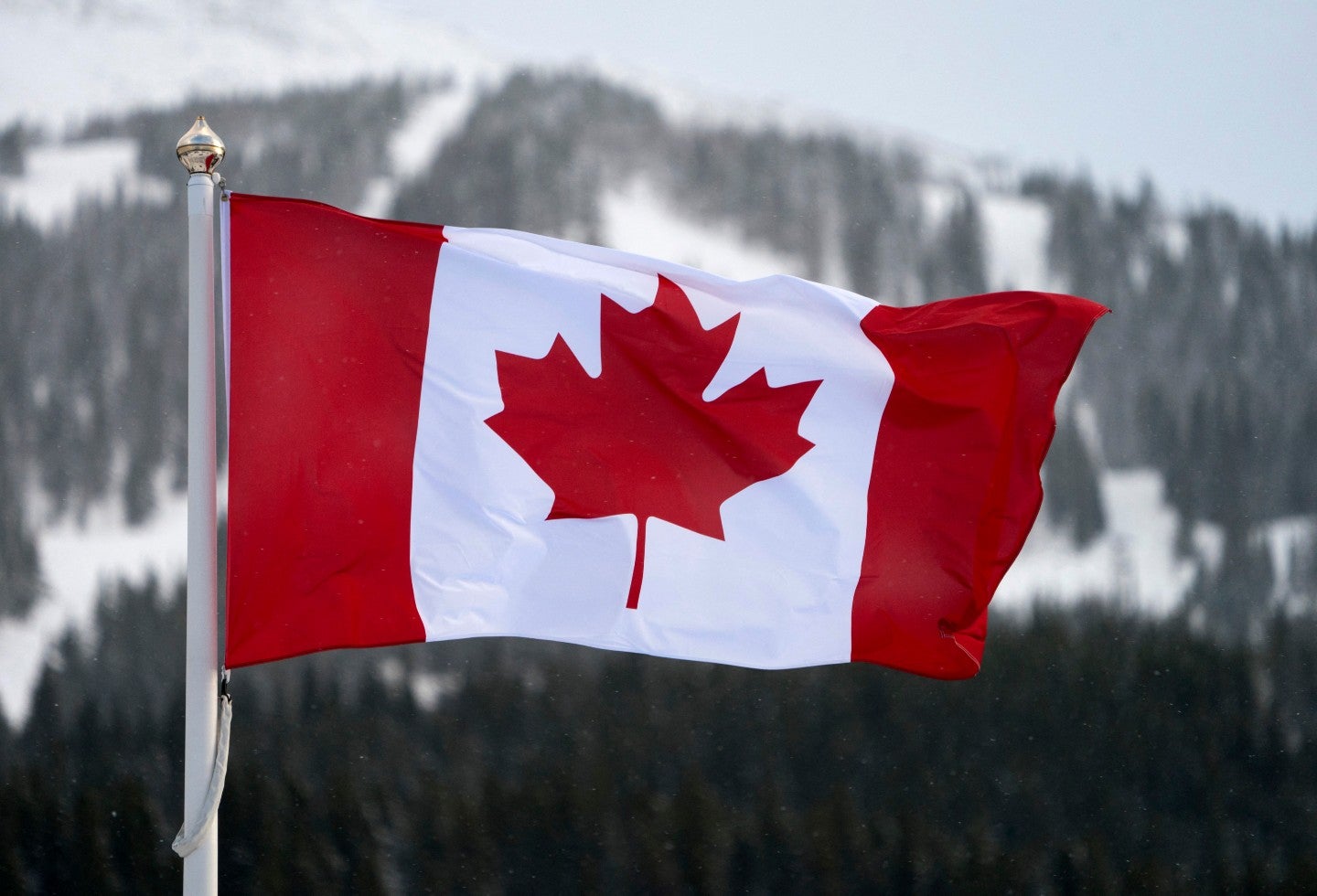 Estudiar en Canadá para pedir la residencia