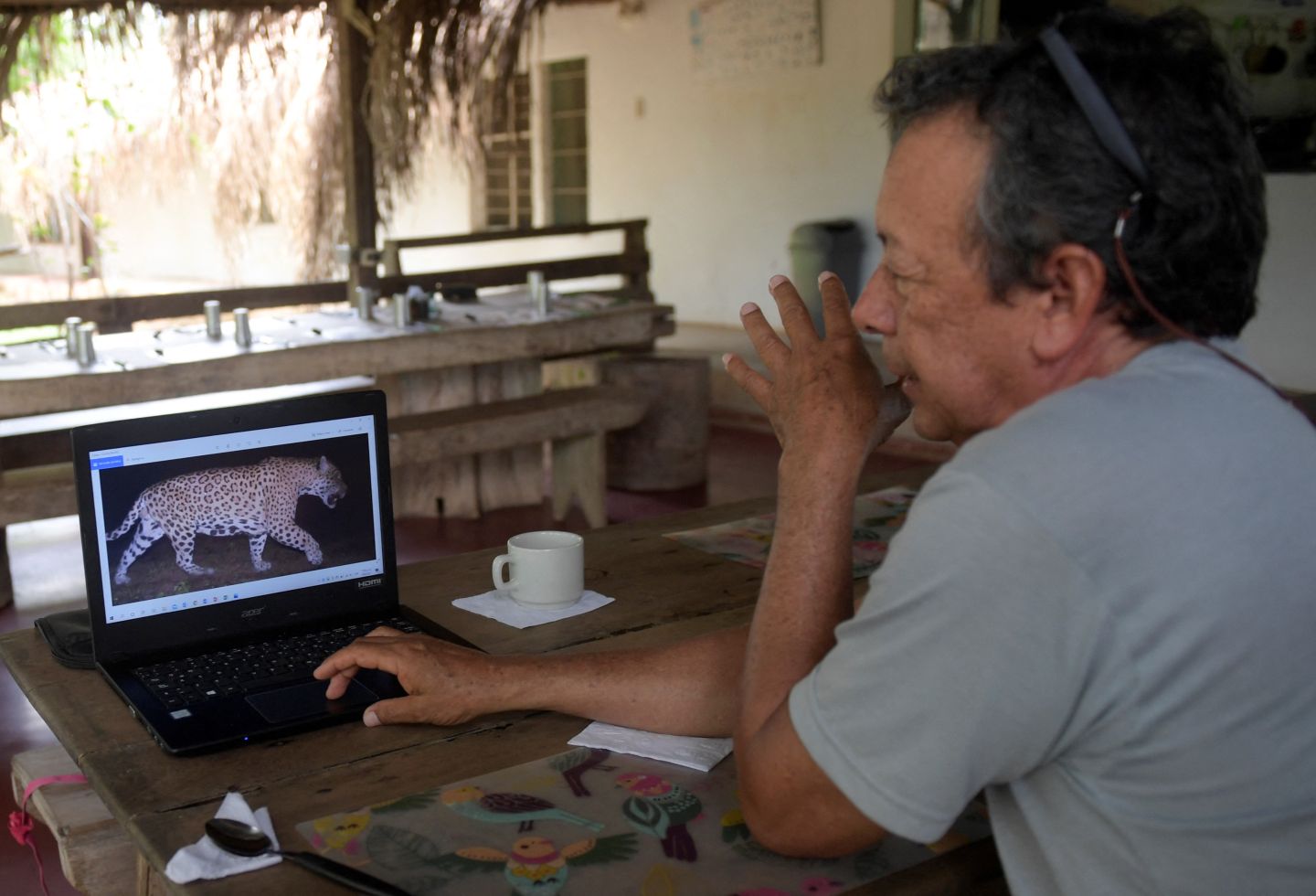 Ganadero colombiano que firmó la paz con el jaguar