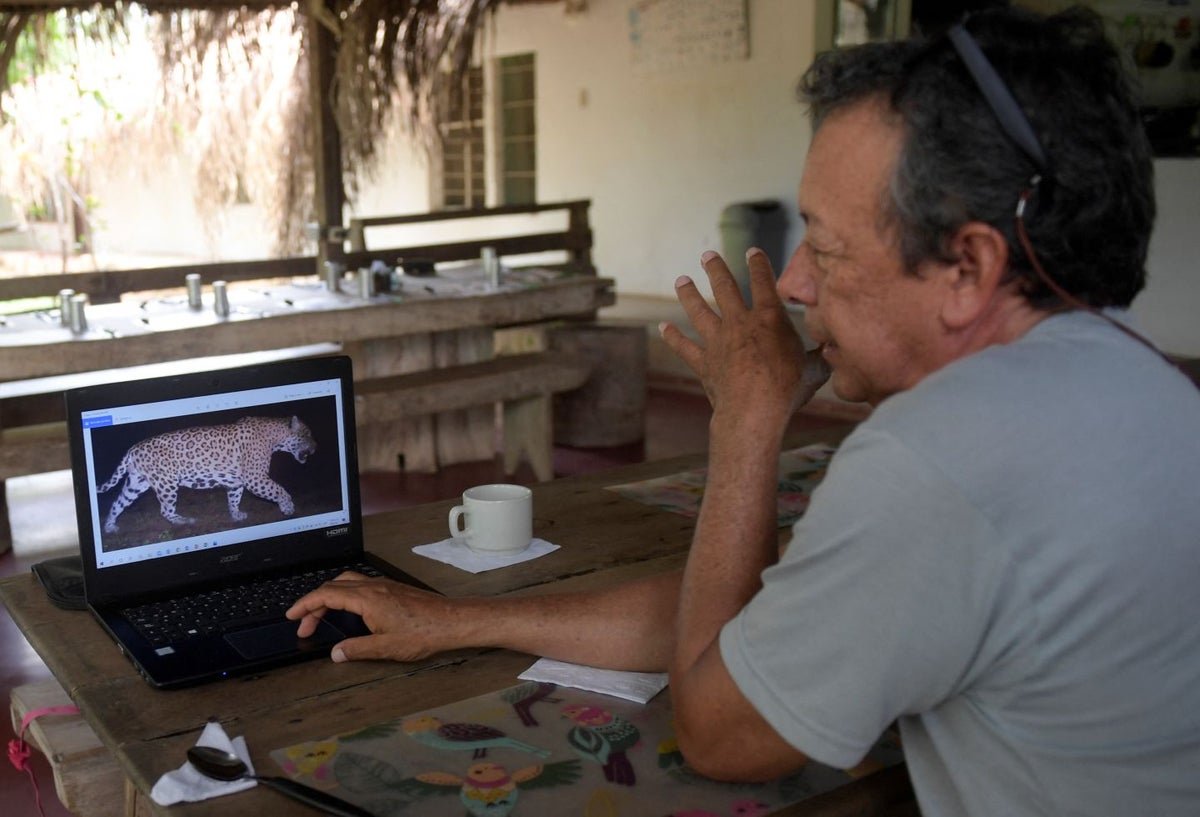Ganadero colombiano que firmó la paz con el jaguar