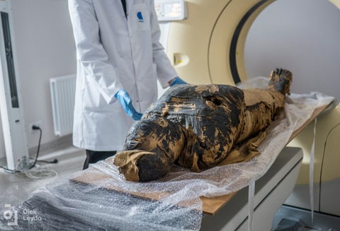 Momia embarazada en Polonia