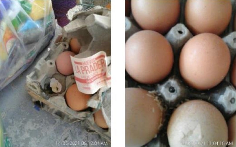 Con telarañas y gusanos