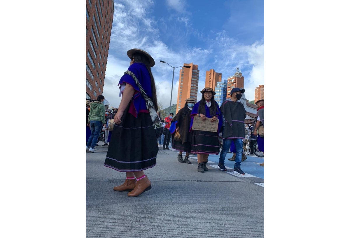 Indígenas recibieron a comisión de la CIDH en Bogotá