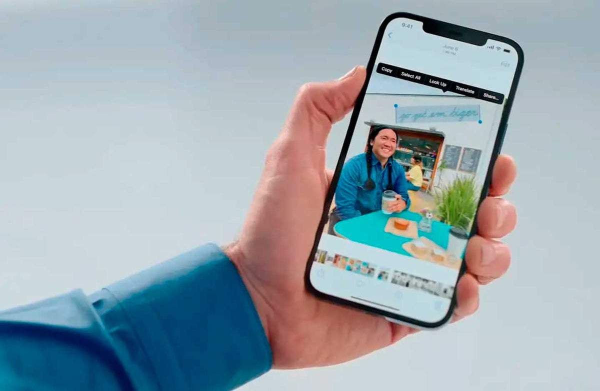 Live Text en iOS 15