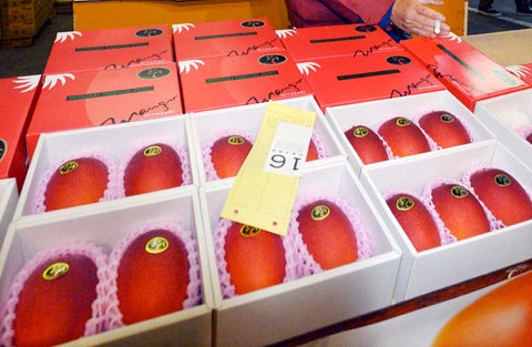 Mango Miyazaki, una variedad muy costosa